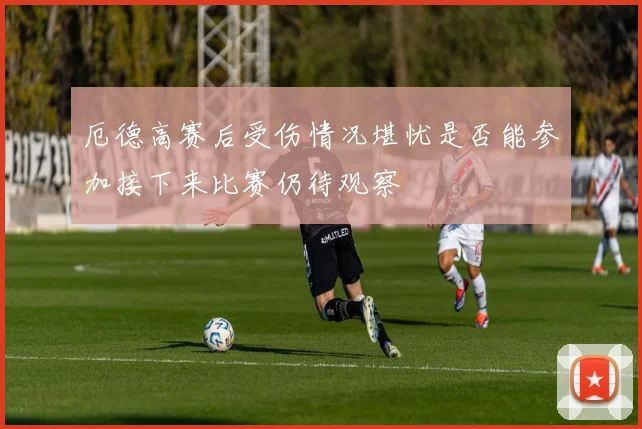 厄德高赛后受伤情况堪忧是否能参加接下来比赛仍待观察