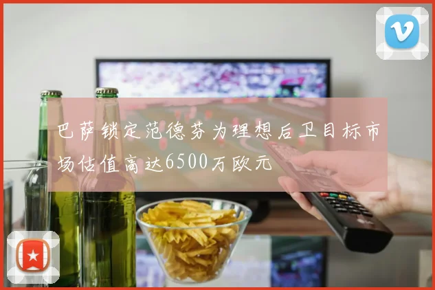 巴萨锁定范德芬为理想后卫目标市场估值高达6500万欧元