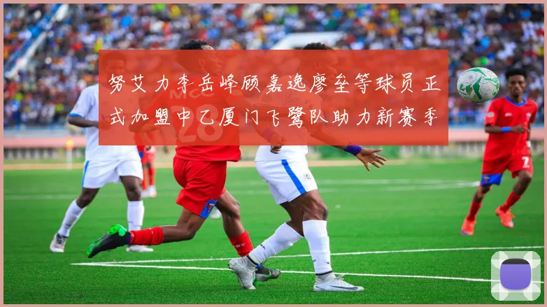 努艾力李岳峰顾嘉逸廖垒等球员正式加盟中乙厦门飞鹭队助力新赛季